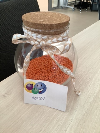 10500 Linsen 10500 Linsen