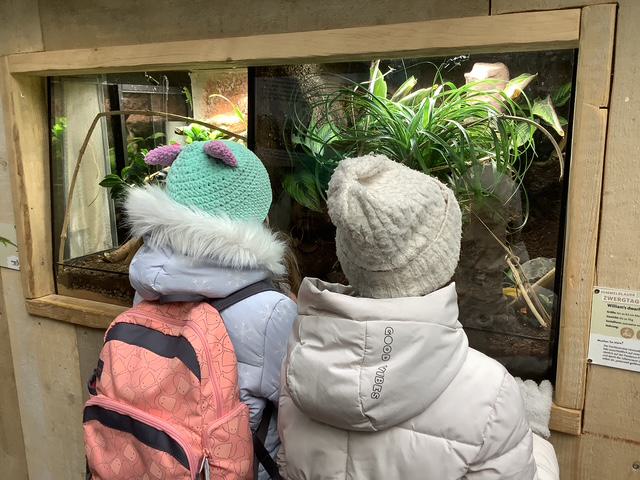 zoo1.jpeg